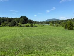 Open Acreage facing Orchard